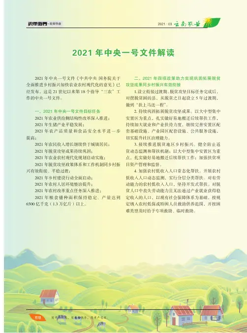 2021年中央一号文件解读