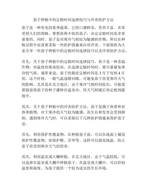 茄子种植中的定植时间选择技巧与冷害防护方法