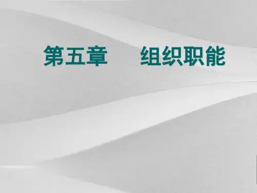 管理学之组织职能