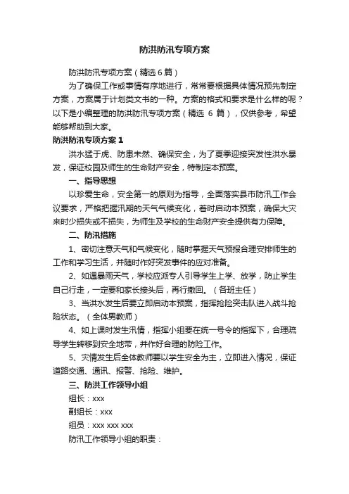 防洪防汛专项方案
