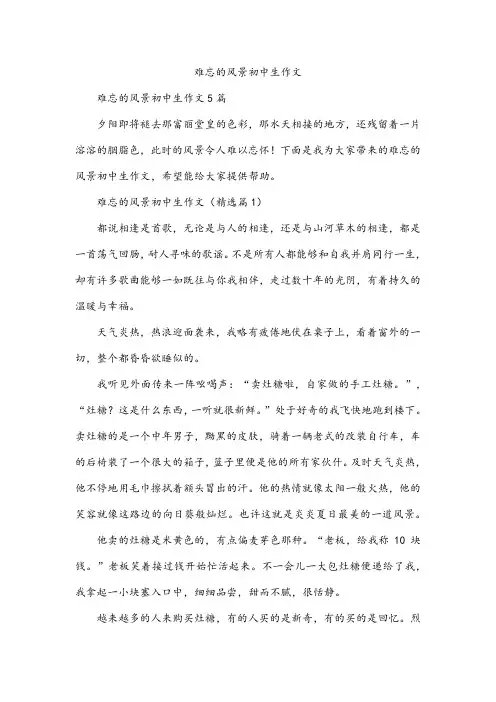 难忘的风景初中生作文