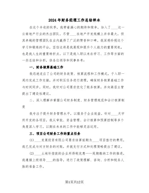 2024年财务经理工作总结样本（六篇）