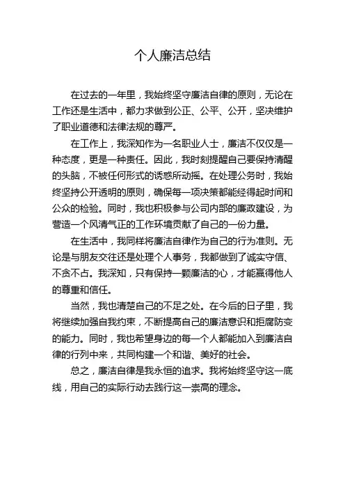个人廉洁总结