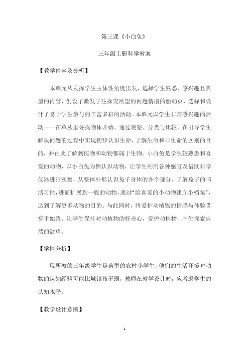 三年级科学上册第三课《小白兔》教案