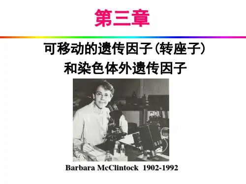 分子生物学第3章_可移动的遗传因子张敏2