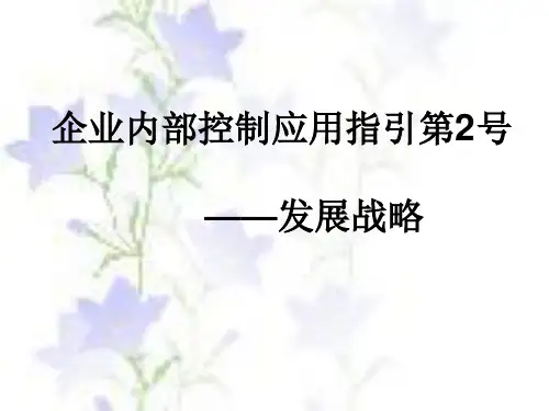 内控第2号：发展战略