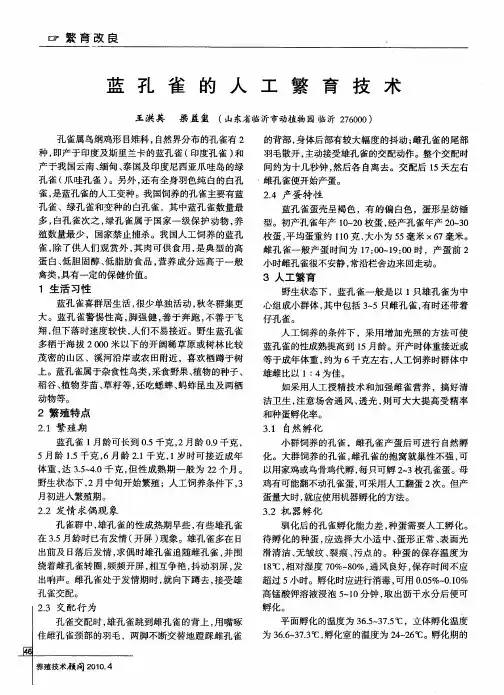 蓝孔雀的人工繁育技术