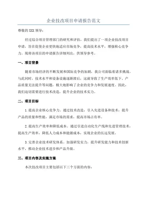 企业技改项目申请报告范文