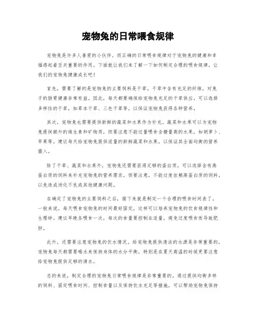 宠物兔的日常喂食规律