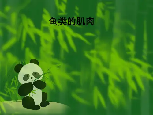 鱼类的肌肉ppt课件