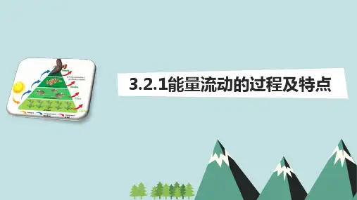 高中生物能量流动