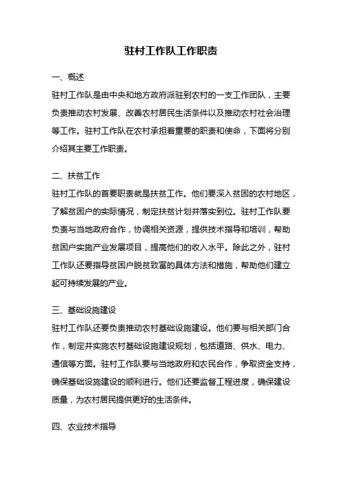 驻村工作队工作职责