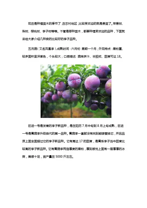 李子苗品种介绍
