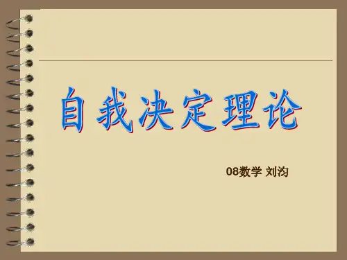 自我决定理论