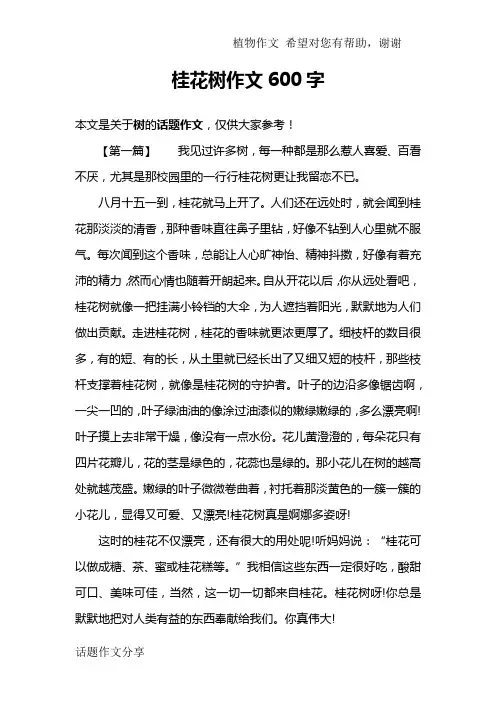 桂花树作文600字