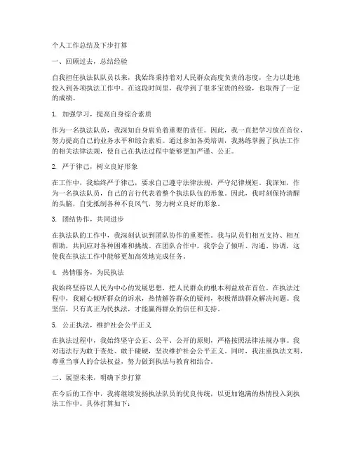 执法队个人工作总结下步打算