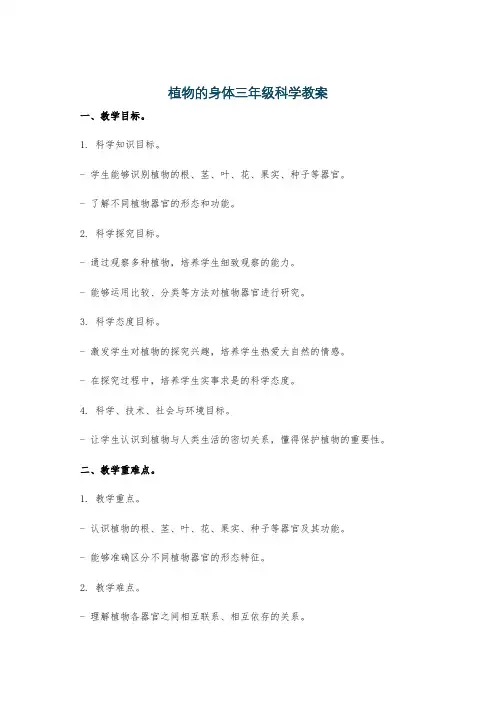 植物的身体三年级科学教案