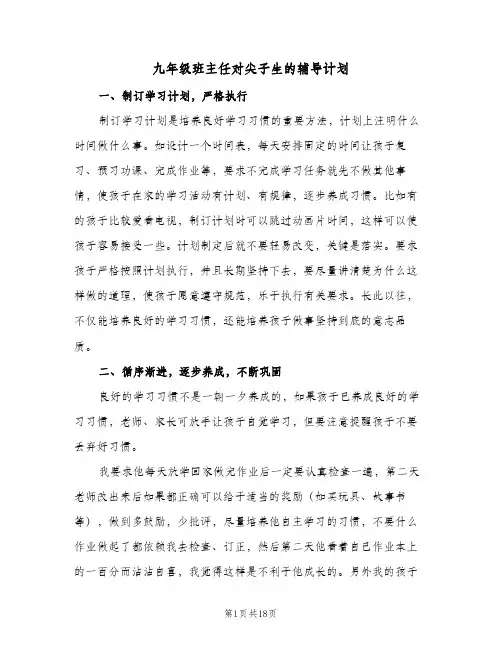 2024年九年级班主任对尖子生的辅导计划（五篇）
