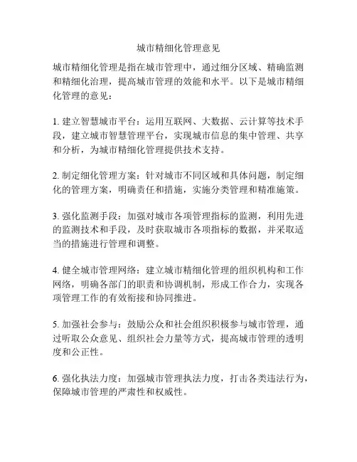 城市精细化管理意见