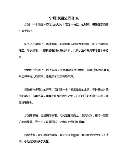 宁夏沙湖公园作文