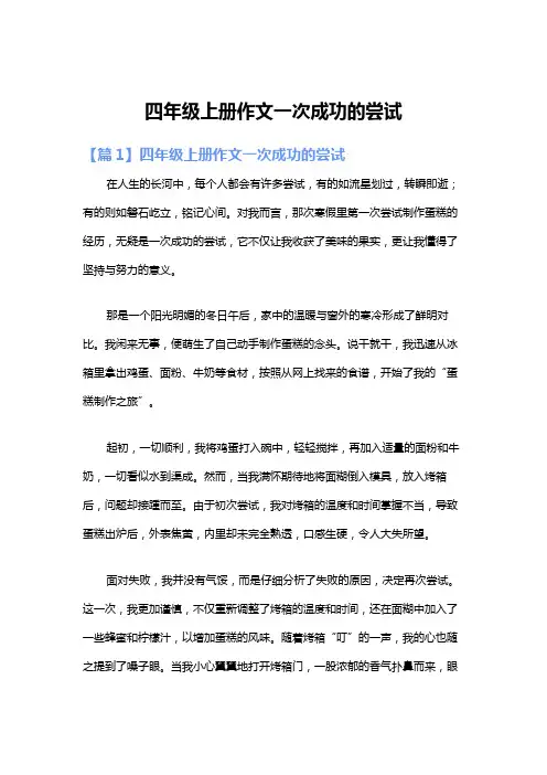 四年级上册作文一次成功的尝试