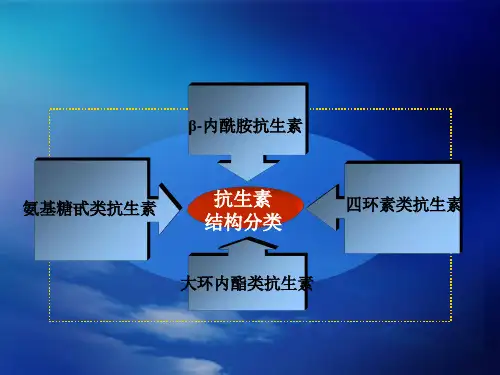 β内酰胺类抗生素-PPT课件