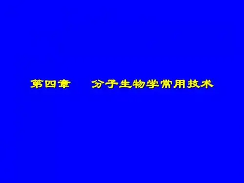 分子生物学常用技术
