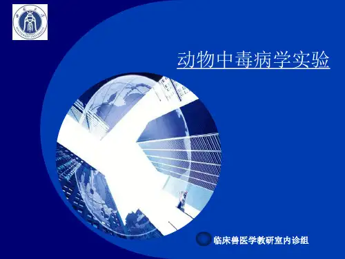动物中毒病学实验.