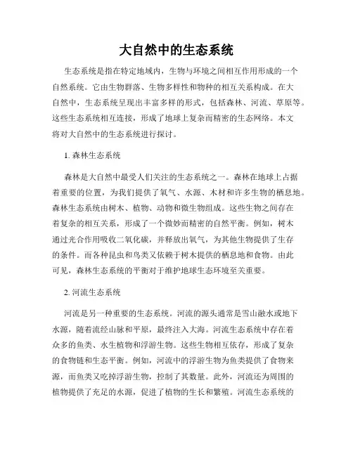 大自然中的生态系统