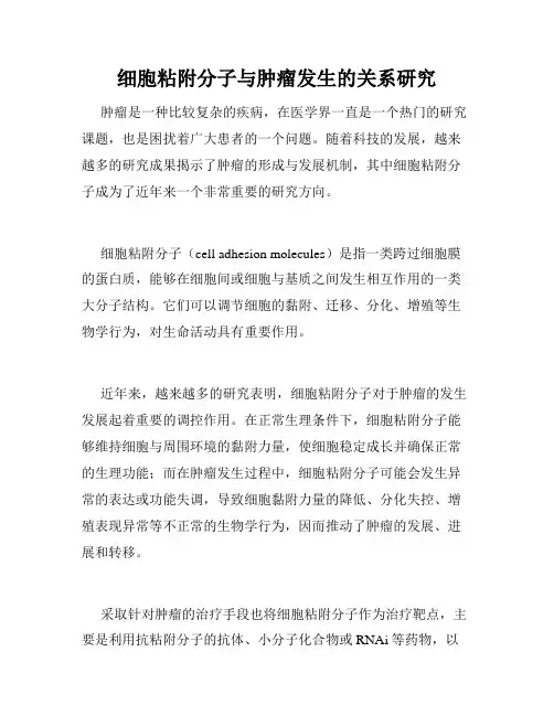 细胞粘附分子与肿瘤发生的关系研究