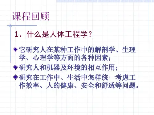 人体工程学 人体尺寸