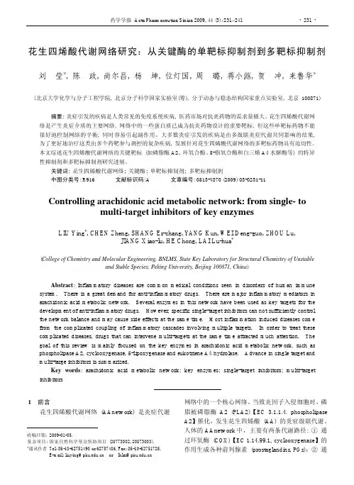 AA代谢网络