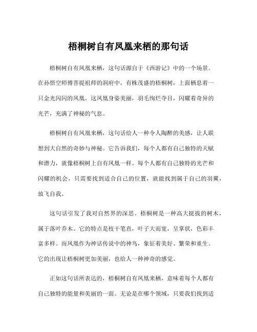 梧桐树自有凤凰来栖的那句话