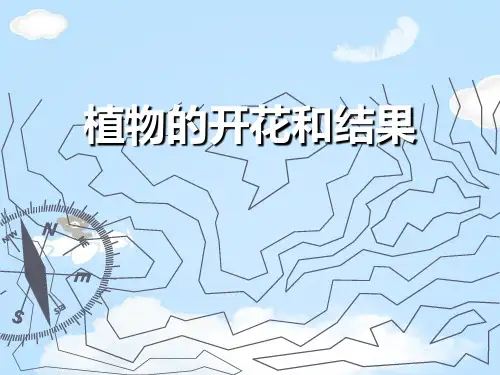 《植物的开花和结果》PPT【优质课件】