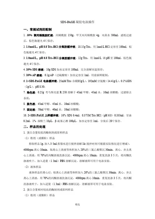 SDS-PAGE凝胶电泳操作