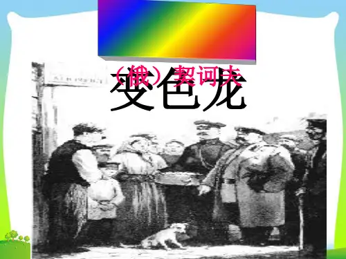 部编版九年级下册6.《变色龙》教学课件26张