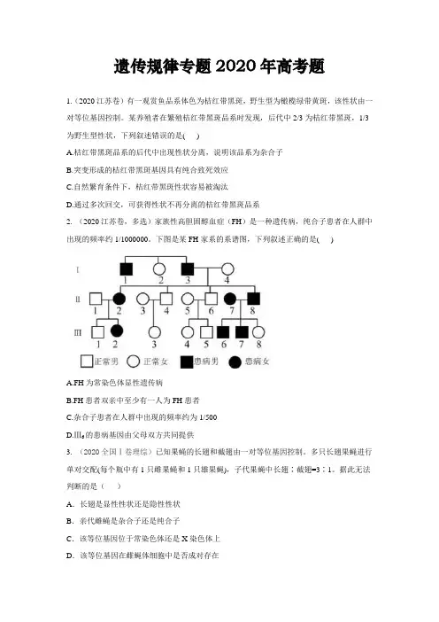 高中生物遗传规律专题2020年高考题汇总附答案
