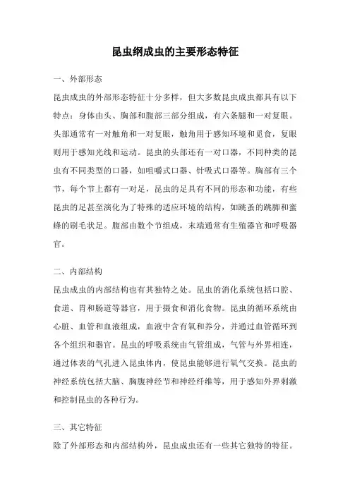 昆虫纲成虫的主要形态特征