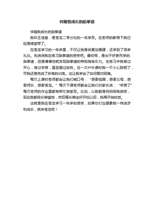 伴随我成长的跆拳道