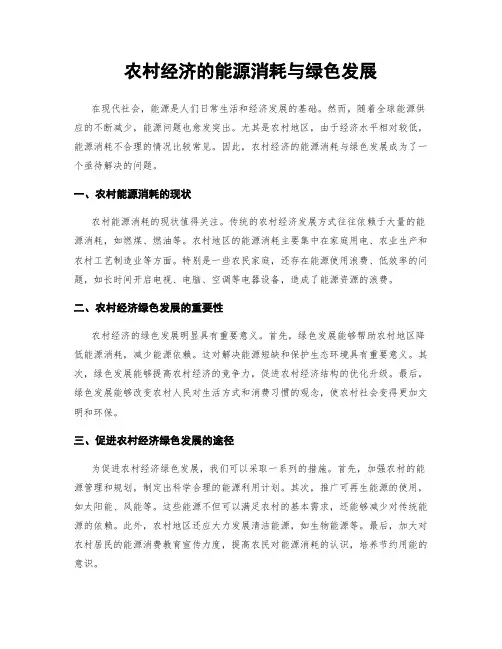 农村经济的能源消耗与绿色发展