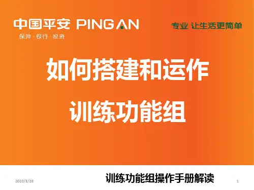 搭建训练功能组PPT课件