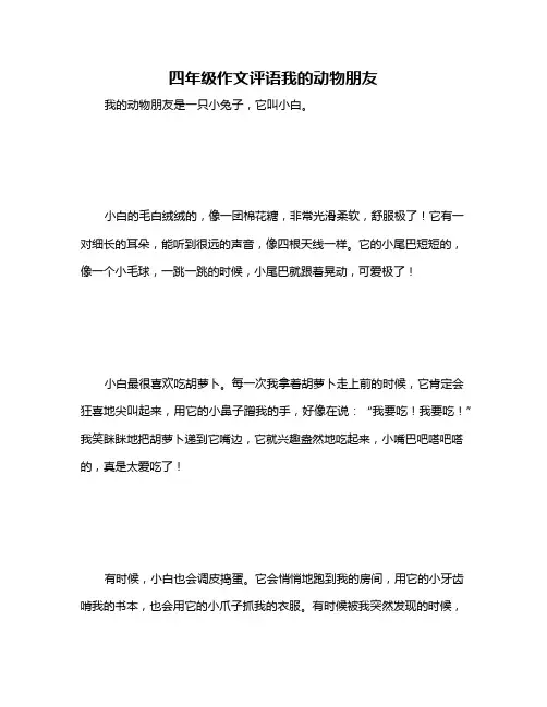 四年级作文评语我的动物朋友