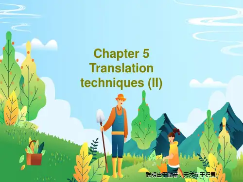 Chapter 5 Translation techniques (II)47页PPT