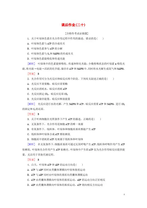 新教材高中生物课后作业20光合作用的原理和应用新人教版必修1