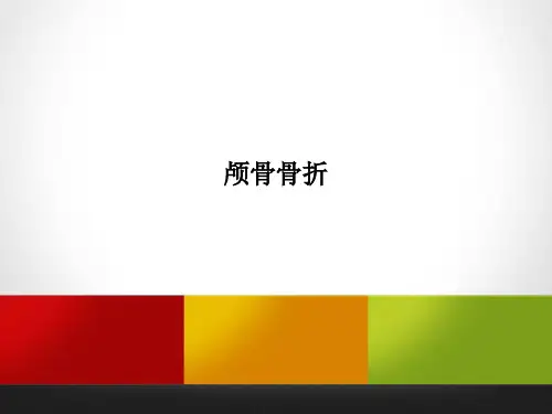 颅骨骨折 PPT课件
