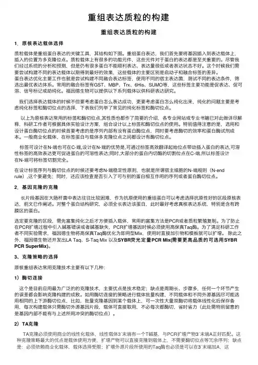 重组表达质粒的构建