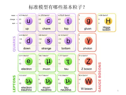 粒子物理的标准模型简介