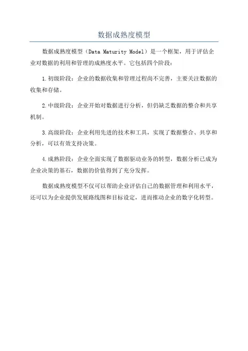 数据成熟度模型