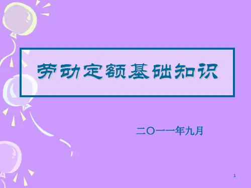 《劳动定额知识》PPT课件