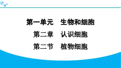 最新七年级生物上册1-2植物细胞 专题训练 课件